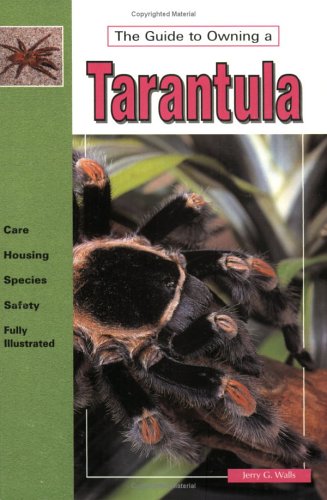 The Guide To Owning A Tarantula Jerry G Walls