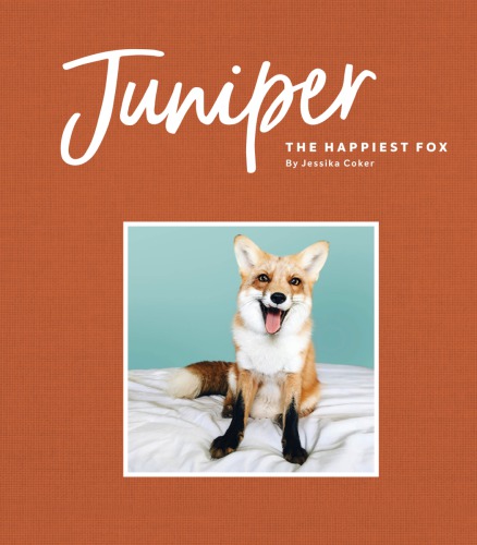 Juniper The Happiest Fox Jessika Coker