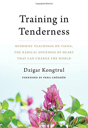 Training In Tenderness Buddhist Teachings On Tsewa The Radical Openness Of Heart That Can Change The World Dzigar Kongtrul