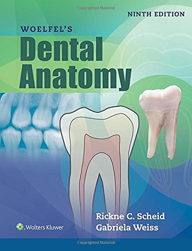 Woelfels Dental Anatomy 9th Rickne C Scheid Gabriela Weiss