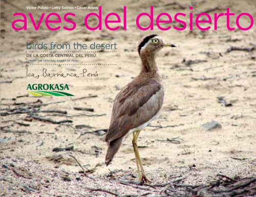 Birds From The Desert From The Central Coast Of Peru Victor Pulido