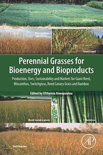 Perennial Grasses For Bioenergy And Bioproducts Production Uses Sustainability And Markets For Giant Reed Miscanthus Switchgrass Reed Canary Grass And Bamboo 1st Edition Efthymia Alexopoulou