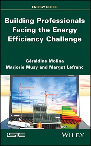 Building Professionals Facing The Energy Efficiency Challenge 1st Edition Lefranc
