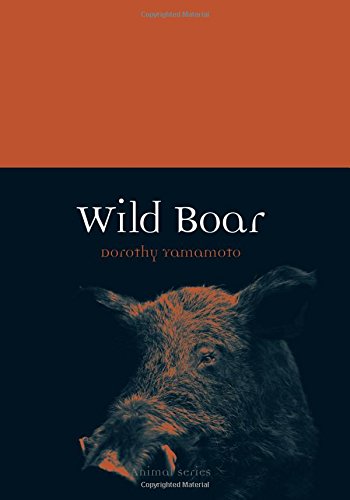 Wild Boar Dorothy Yamamoto