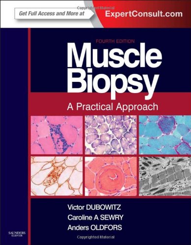 Muscle Biopsy A Practical Approach 4th Edition Victor Dubowitz Md Phd Frcp Frcpch