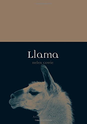Llama Helen Cowie