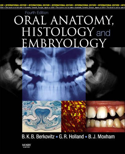 Oral Anatomy Histology And Embryology 4th International Edition Barry K B Berkovitz