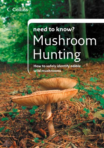 Mushroom Hunting How To Safely Identify Edible Wild Mushrooms Patrick Harding