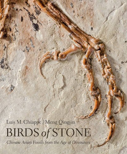 Birds Of Stone Chinese Avian Fossils From The Age Of Dinosaurs Luis M Chiappe