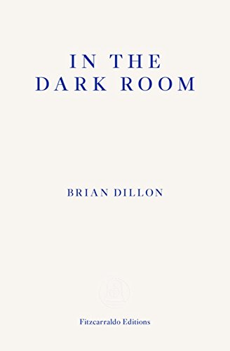 In The Dark Room Brian Dillon Frances Wilson