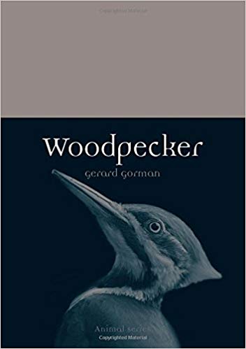 Woodpecker Gorman Gerard