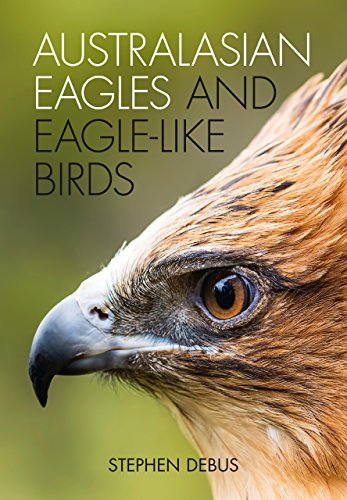 Australasian Eagles And Eaglelike Birds 1st Edition Stephen Debus