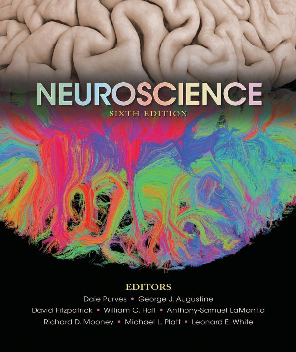 Neuroscience Sixth Edition 6th Dale Purves George J Augustine