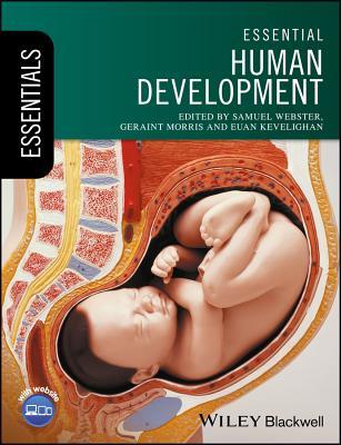 Essential Human Development Samuel Webster