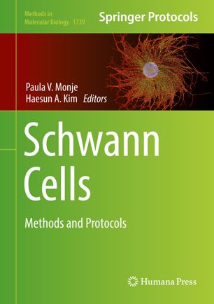 Schwann Cells 1st Ed Paula V Monje Haesun A Kim