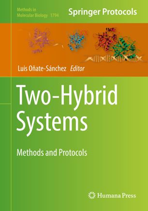Twohybrid Systems 1st Ed Luis Oatesnchez