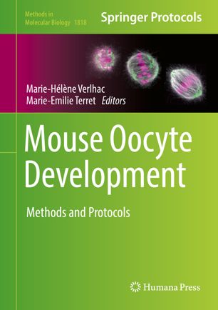 Mouse Oocyte Development 1st Ed Mariehlne Verlhac Marieemilie Terret