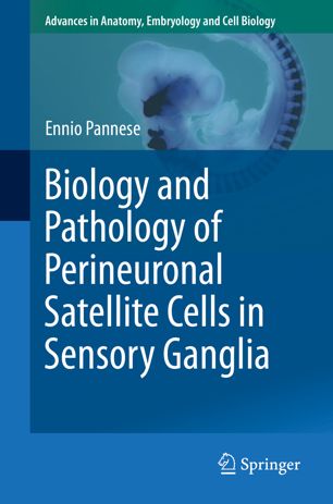 Biology And Pathology Of Perineuronal Satellite Cells In Sensory Ganglia 1st Ed Ennio Pannese