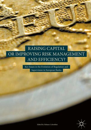 Raising Capital Or Improving Risk Management And Efficiency 1st Ed Fabiano Colombini