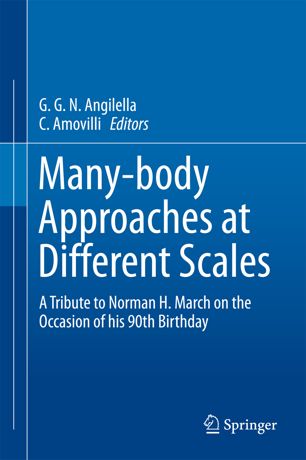 Manybody Approaches At Different Scales 1st Ed Ggn Angilella