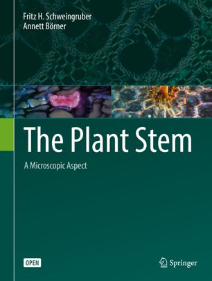 The Plant Stem 1st Ed Fritz H Schweingruber Annett Brner