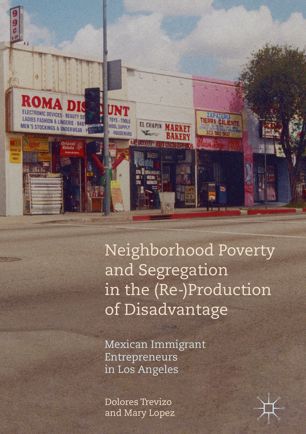 Neighborhood Poverty And Segregation In The Reproduction Of Disadvantage 1st Ed Dolores Trevizo