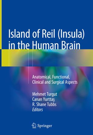 Island Of Reil Insula In The Human Brain 1st Ed Mehmet Turgut