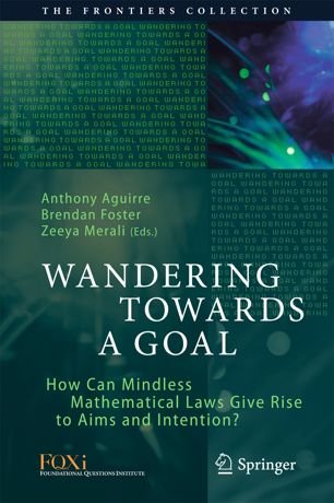Wandering Towards A Goal How Can Mindless Mathematical Laws Give Rise To Aims And Intention 1st Ed Anthony Aguirre