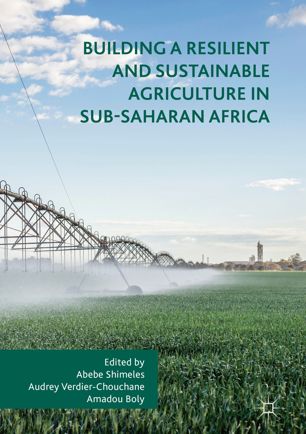 Building A Resilient And Sustainable Agriculture In Subsaharan Africa 1st Ed Abebe Shimeles