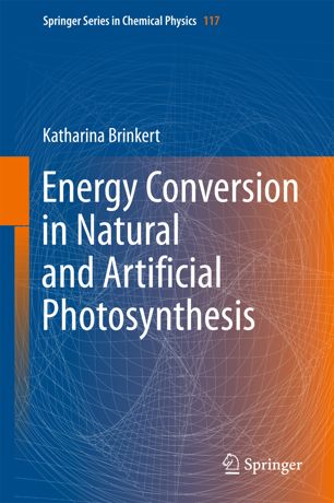 Energy Conversion In Natural And Artificial Photosynthesis 1st Ed Katharina Brinkert