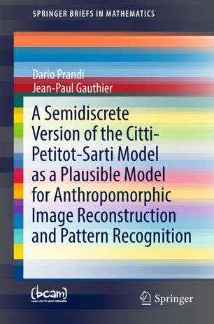 A Semidiscrete Version Of The Cittipetitotsarti Model As A Plausible Model For Anthropomorphic Image Reconstruction And Pattern Recognition 1st Ed Dario Prandi