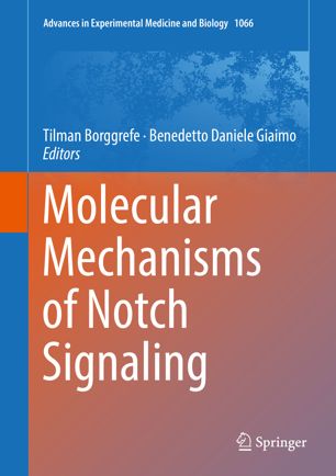 Molecular Mechanisms Of Notch Signaling 1st Ed Tilman Borggrefe
