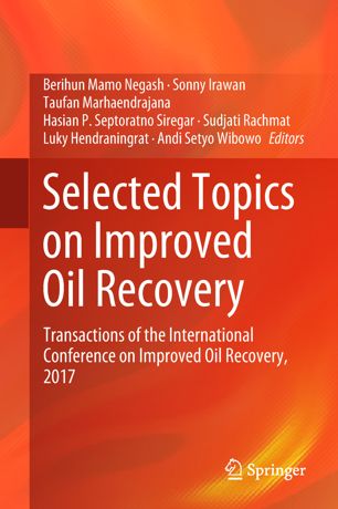 Selected Topics On Improved Oil Recovery 1st Ed Berihun Mamo Negash