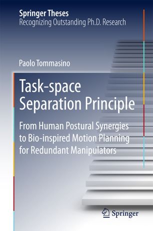 Taskspace Separation Principle 1st Ed Paolo Tommasino