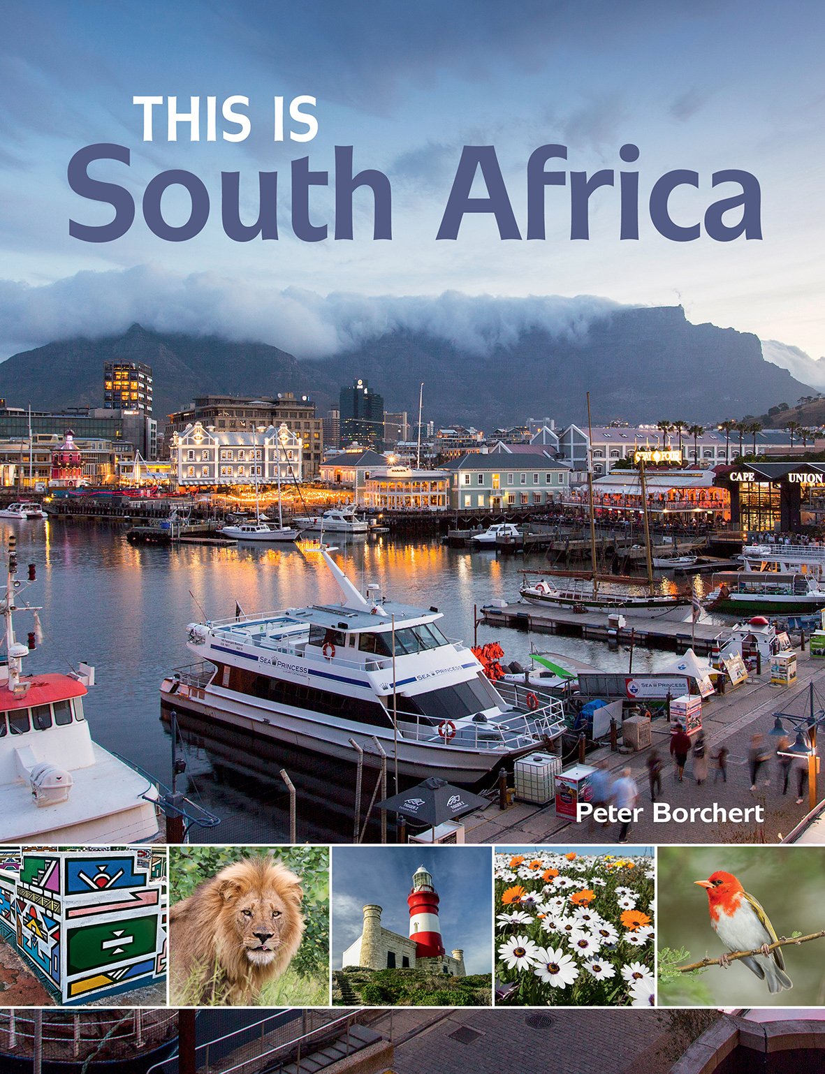 This Is South Africa 2nd Edition Peter Borchert Roger De La Harpe