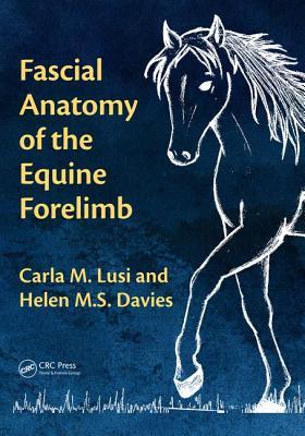 Fascial Anatomy Of The Equine Forelimb Carla M Lusi Helen M S Davies