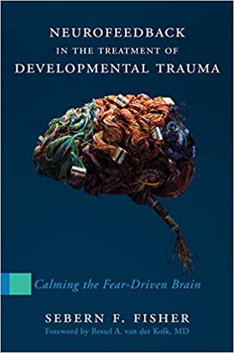 Neurofeedback In The Treatment Of Developmental Trauma Calming The Feardriven Brain 1st Sebern F Fisher