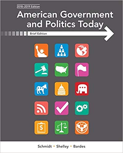American Government And Politics Today 10th Steffen W Schmidt