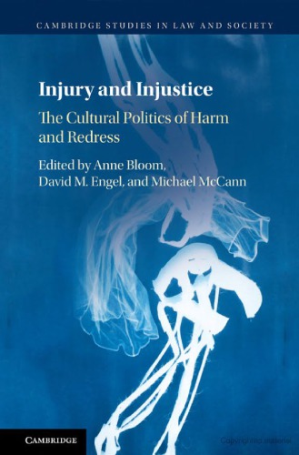 Injury And Injustice The Cultural Politics Of Harm And Redress Anne Bloom David M Engel Michael Mccann Eds