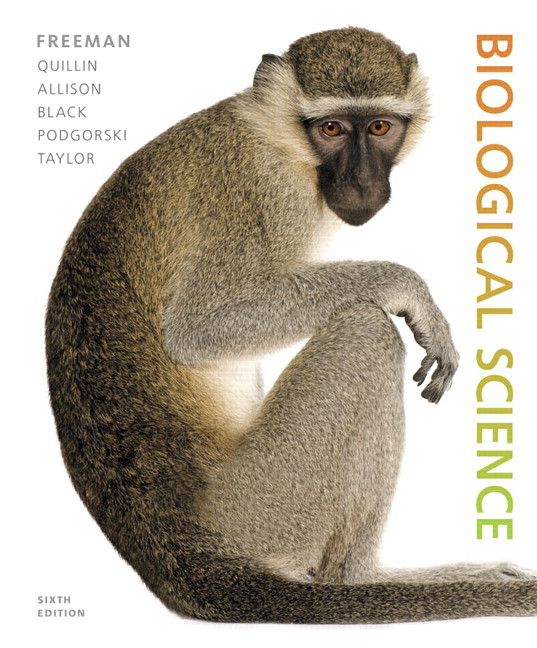 Biological Science 6th Edition Scott Freeman Kim Quillin Lizabeth Allison