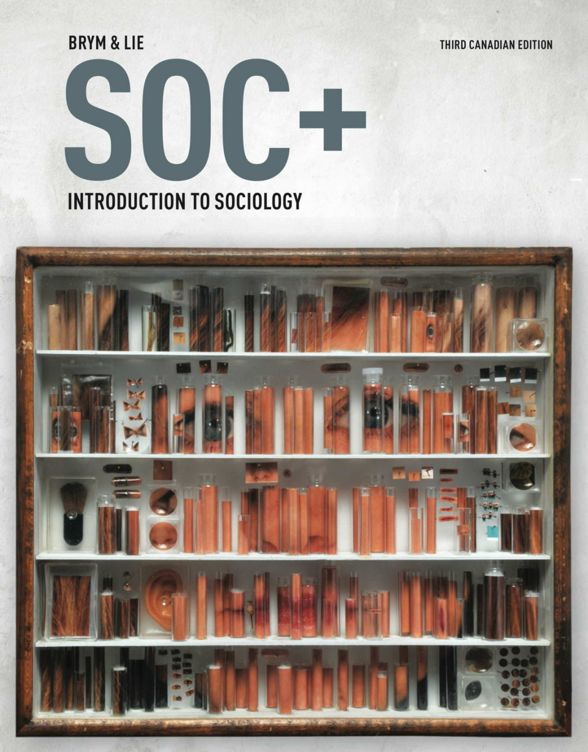 Soc Introduction To Sociology 3rd Edition 3rd Canadian Robert J Brym