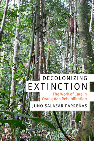 Decolonizing Extinction The Work Of Care In Orangutan Rehabilitation Paperback Juno Salazar Parreas