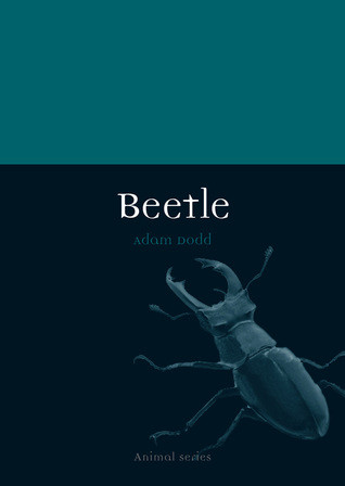 Beetle Paperback Adam Dodd