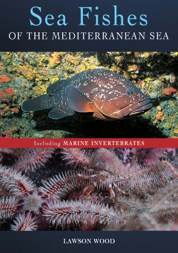 Sea Fishes Of The Mediterranean Including Marine Invertebrates Lawson Wood