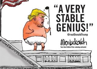 A Very Stable Genius Paperback Mike Luckovich