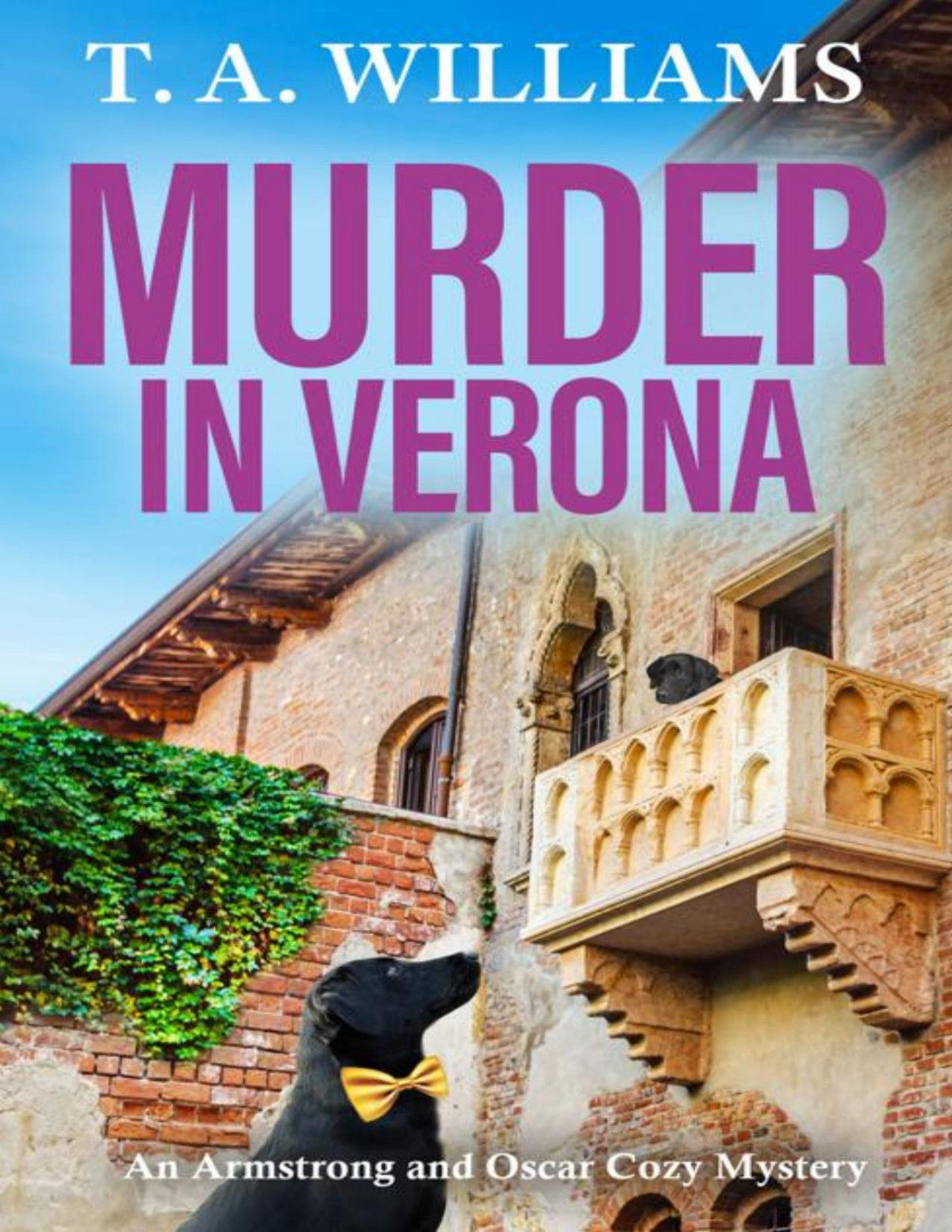 Murder In Verona T A Williams
