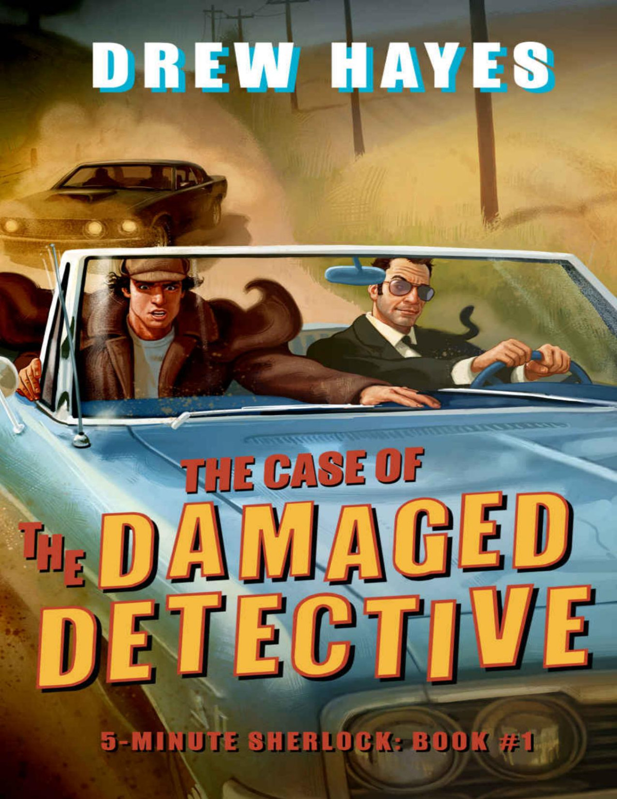 The Case Of The Damaged Detective Drew Hayes