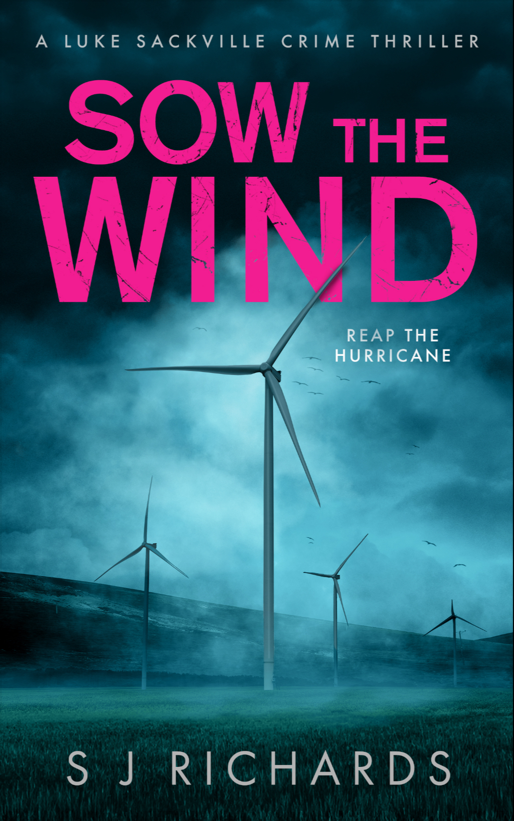 Sow The Wind An Electrifying British Crime Thriller Luke Sackville Crime Thrillers Book 6 S J Richards