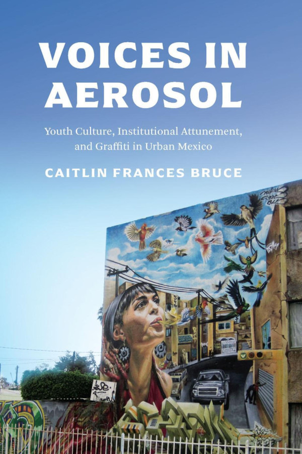 Voices In Aerosol Youth Culture Institutional Attunementand Graffiti In Urban Mexico Caitlin Frances Bruce