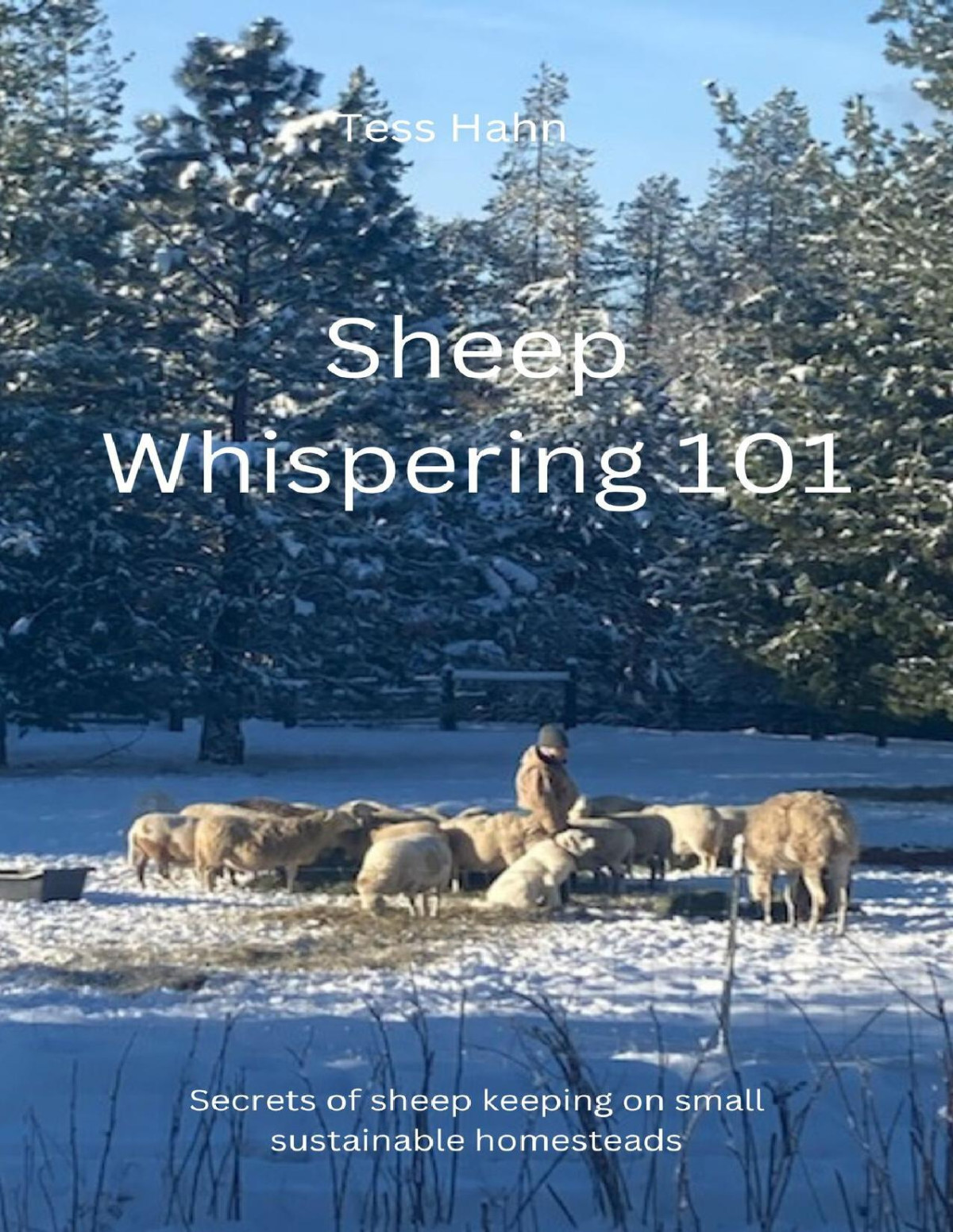 Sheep Whispering 101 Secrets Of Sheep Keeping On Small Sustainable Homesteads Tess Hahn
